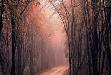 关于我们【98堂-色花堂-邀请码-官方授权】