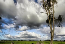 不定期分享CL小草1024邀请码注册码