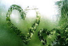 草榴社区科普：从新手到统治者的一站式成长攻略