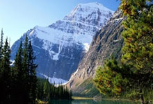 草榴论坛疑问汇总