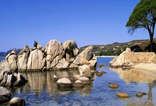 今天有盈利 发几枚草榴邀请码